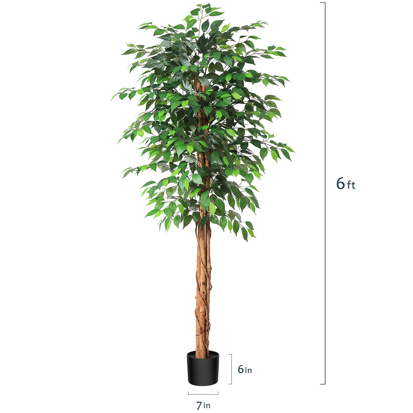 KAZEILA CN Artificial Ficus Tree With Natural Curved Trunks