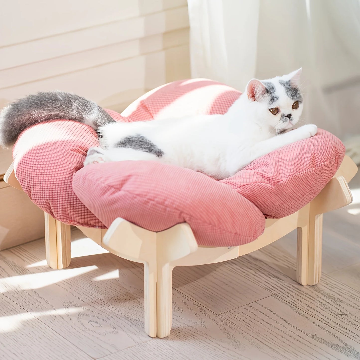 Raised Cat Bed With Cushion, Elevated Indoor Pet Sofa