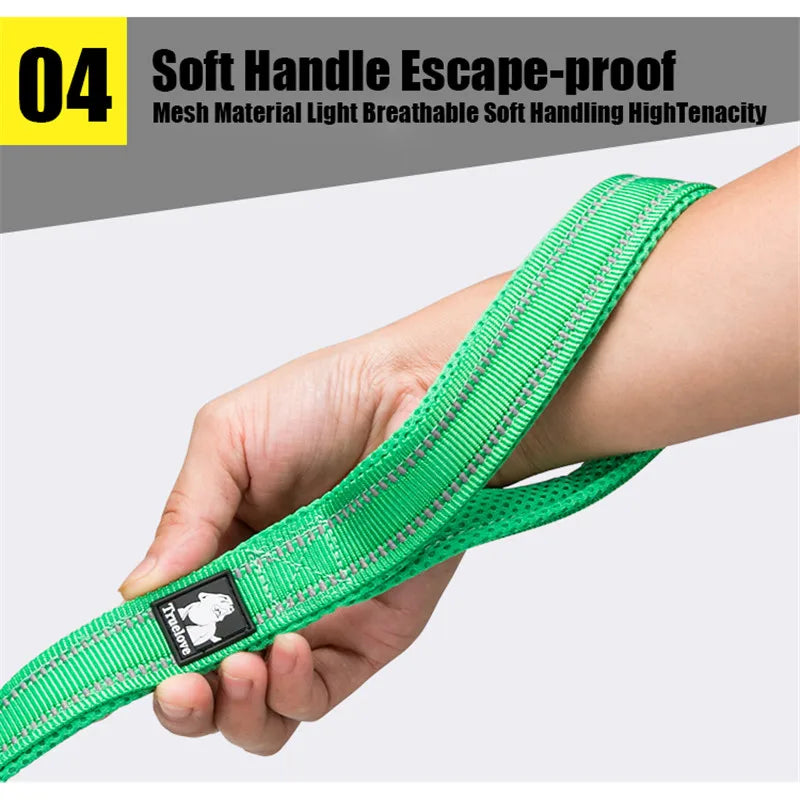 Truelove Reflective Padded Nylon Leash For Dogs And Cats
