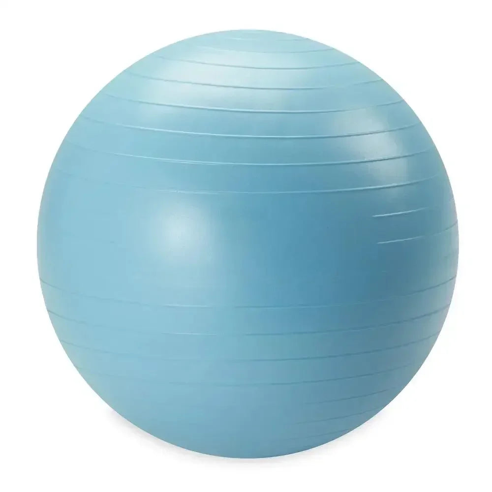 Weighted Stability Ball With Pump For Core And Body Training