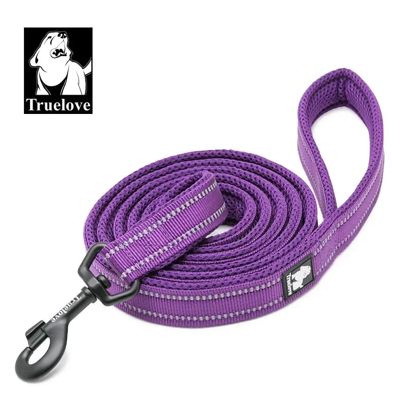 Truelove Reflective Padded Nylon Leash For Dogs And Cats