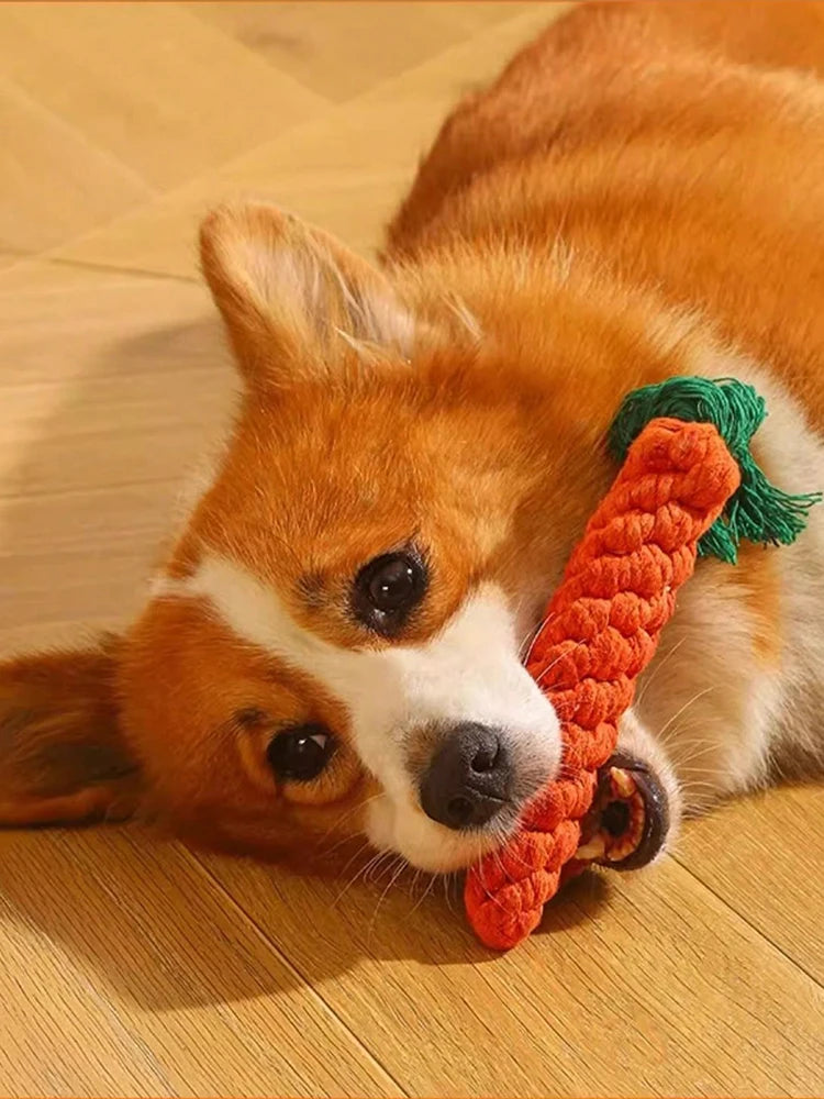 Durable Handwoven Cotton Rope Dog Toy For All Dogs