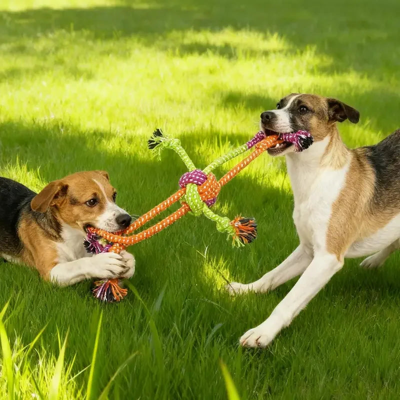 Durable Dog Rope Toy For Chewing And Training Bone Knot