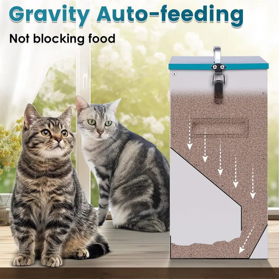 Automatic Cat Feeder With Large Capacity For Two Cats
