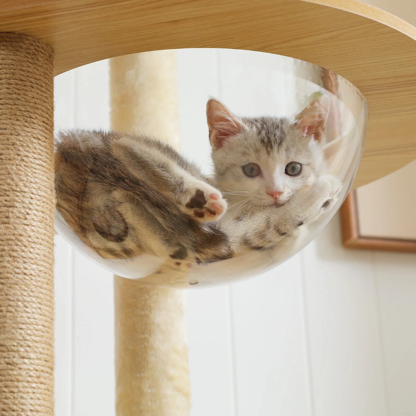 PAWZ Ro Multi Level Cat Tree With Scratching Posts Condo