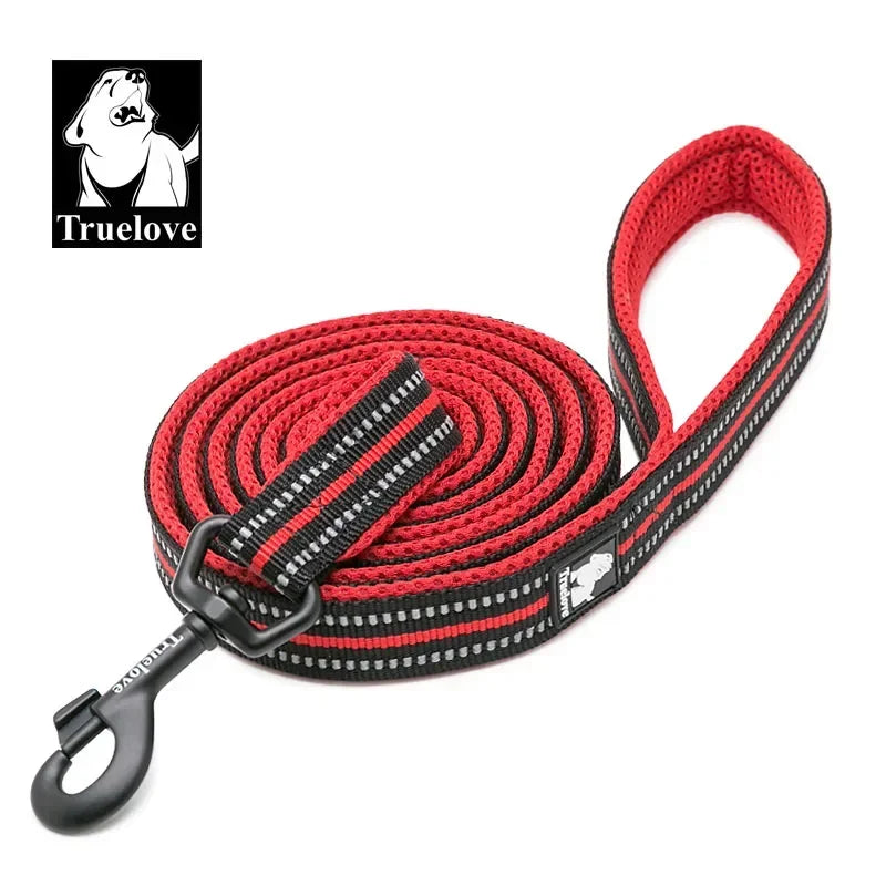 Truelove Reflective Padded Nylon Leash For Dogs And Cats