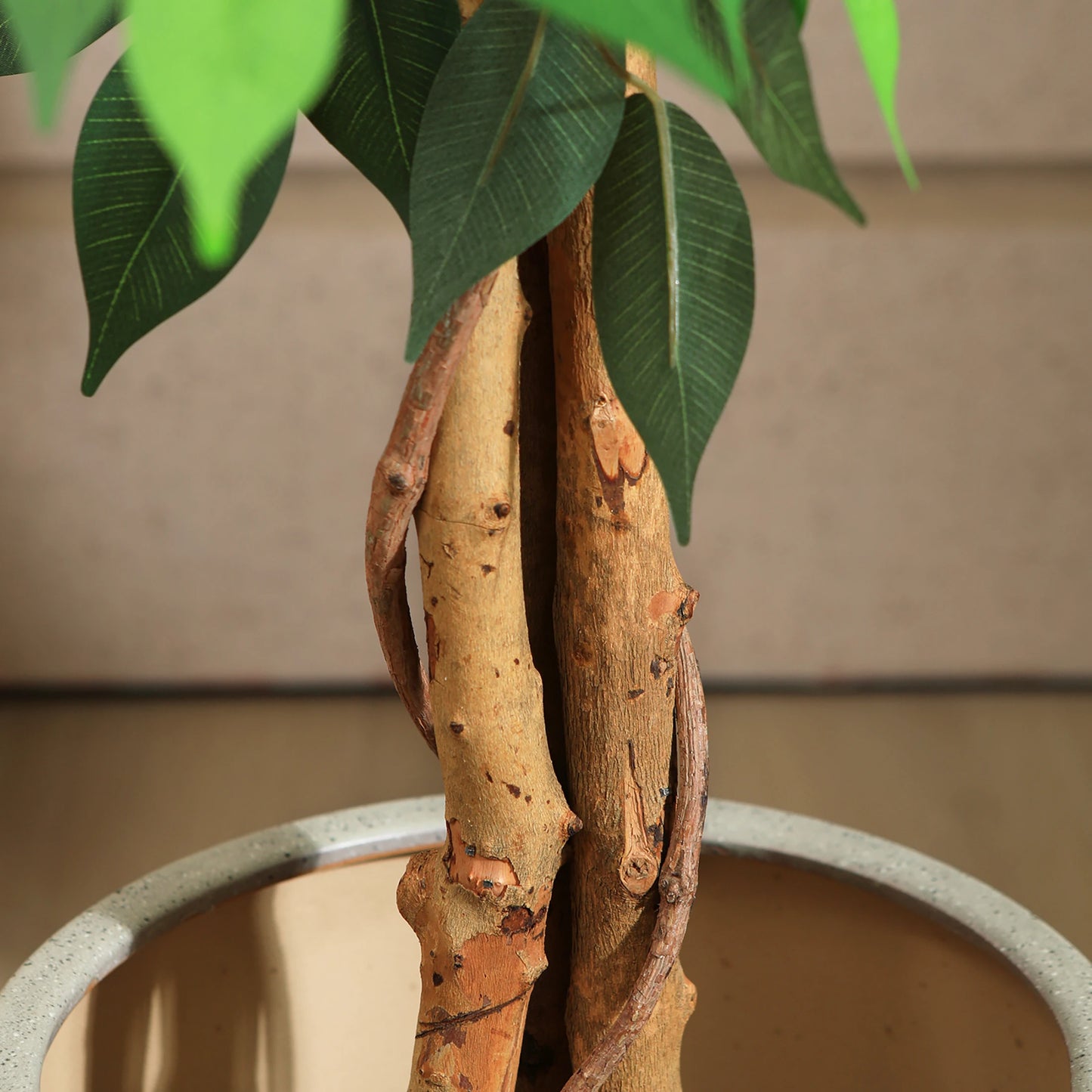 KAZEILA CN Artificial Ficus Tree With Natural Curved Trunks