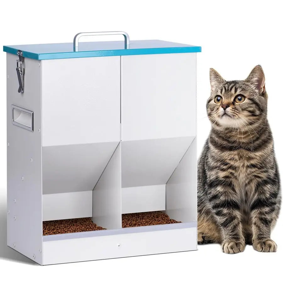Automatic Cat Feeder With Large Capacity For Two Cats