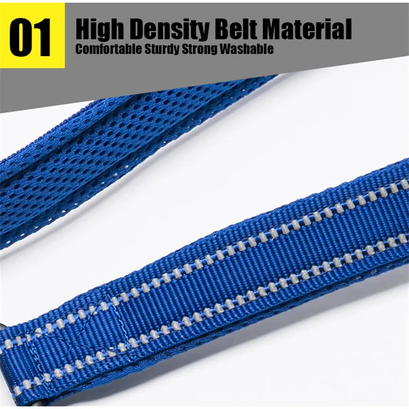 Truelove Reflective Padded Nylon Leash For Dogs And Cats