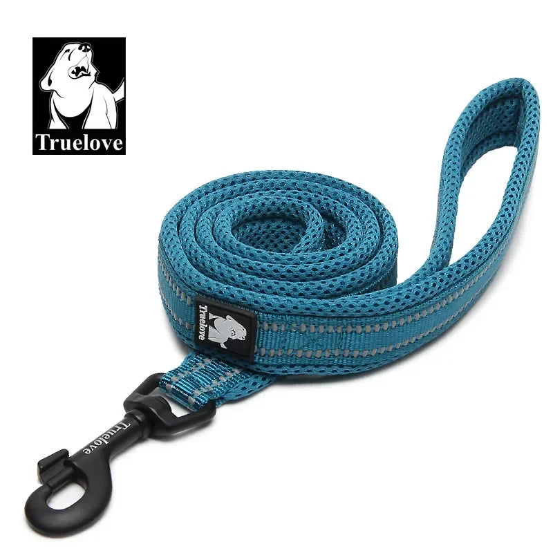 Truelove Reflective Padded Nylon Leash For Dogs And Cats