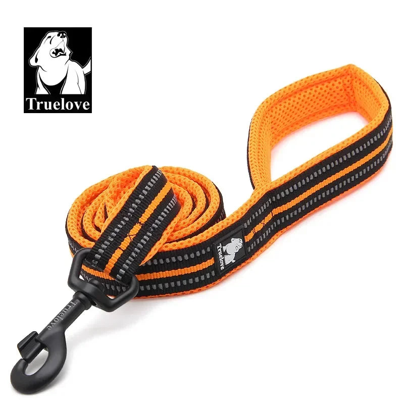 Truelove Reflective Padded Nylon Leash For Dogs And Cats